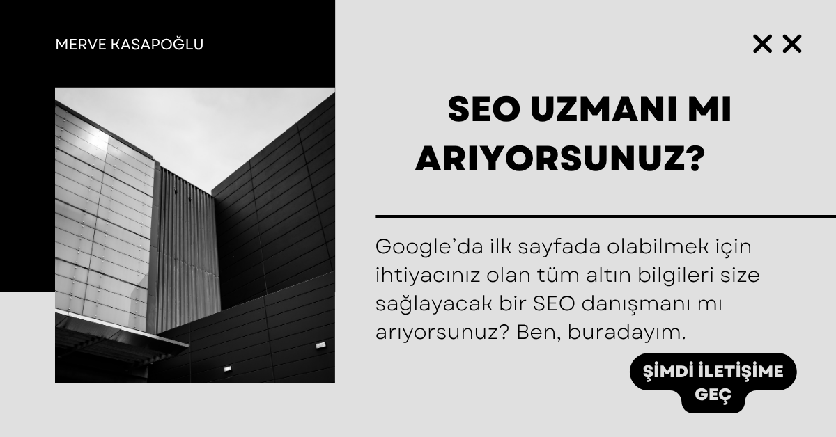 seo uzmanı